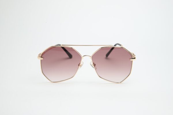 Geometric Aviator